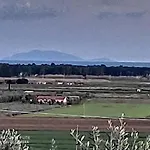 Agriturismo Mare Natura *