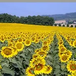 Agriturismo Mare Natura Feriegård *