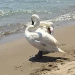Agriturismo Mare Natura Castiglione della Pescaia