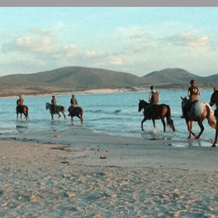 Mare Natura