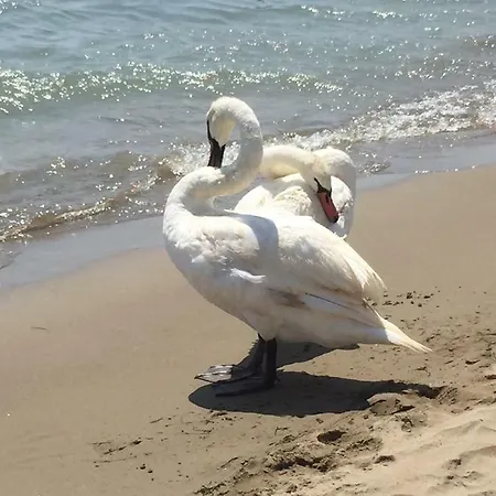Mare Natura Castiglione della Pescaia