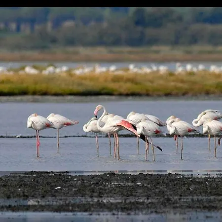 Mare Natura Lantgård Castiglione della Pescaia